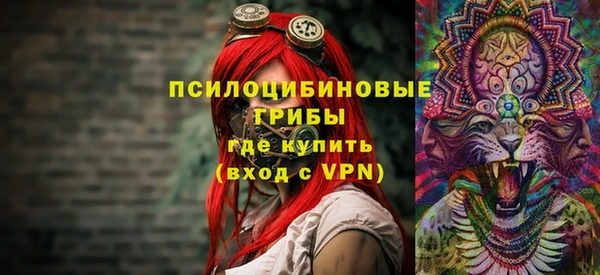 СК Козловка