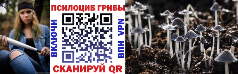 Псилоцибиновые грибы Cubensis  Ильский 